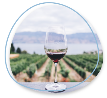 copa de vino y vista del viñedo de Mendoza