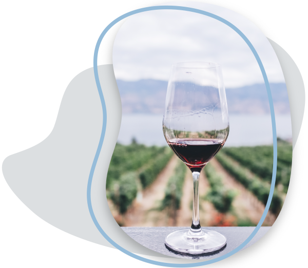 copa de vino y vista del viñedo de Mendoza